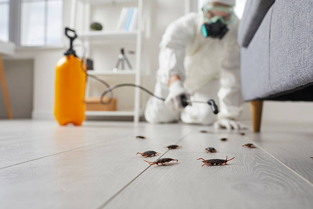 Commercial Kitchen Cockroach Control in Laurel Hill